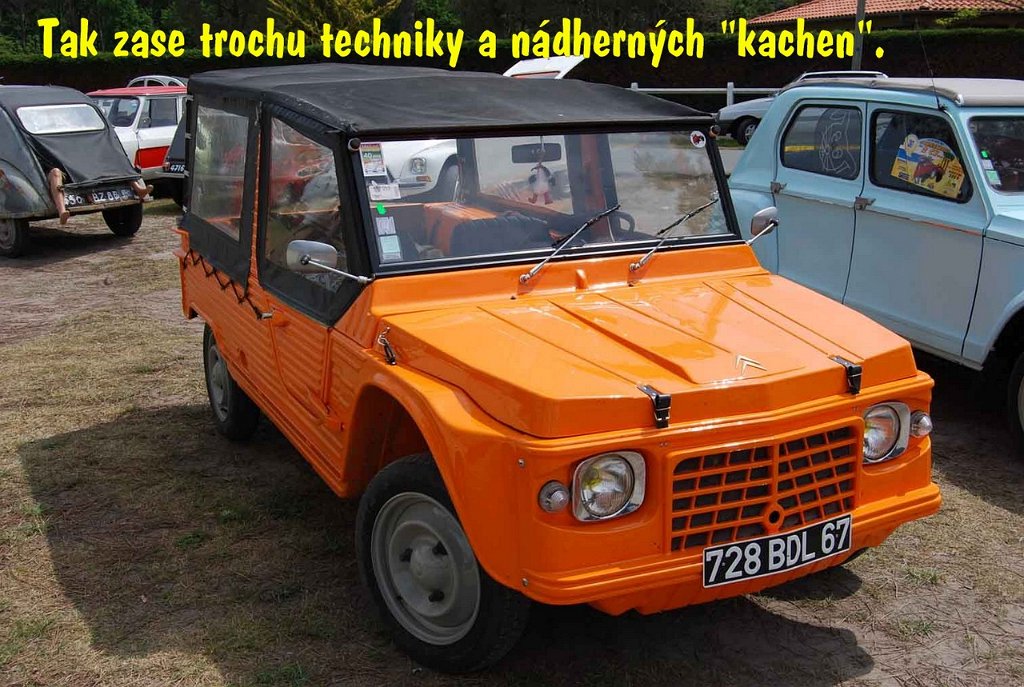 JPG 0253.jpg